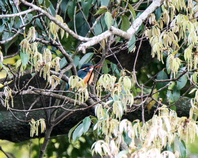 ���܎���4