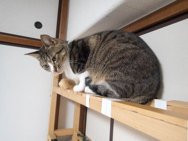 ���ͤ�����13