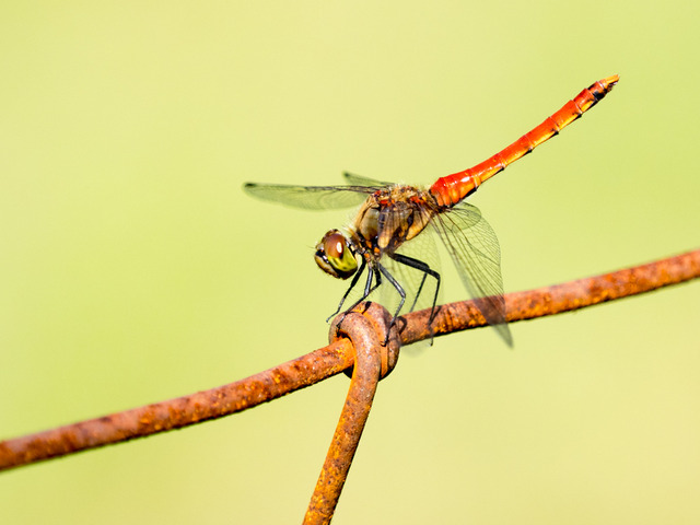 ����������01