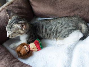 ���ͤ���54