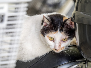 �ߡ������6