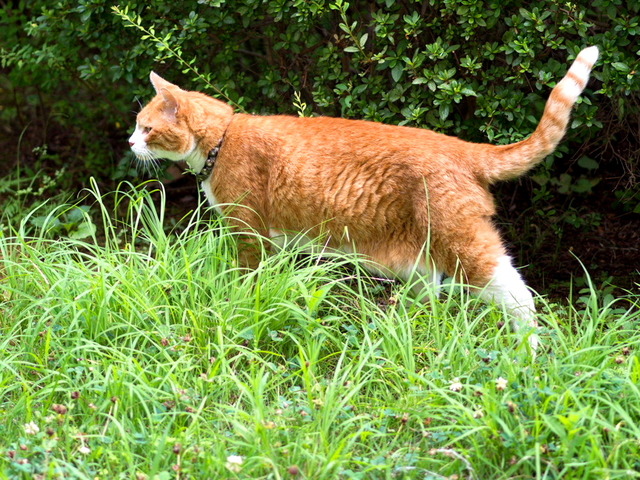 ���ͤ���3