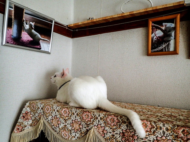 ���������2