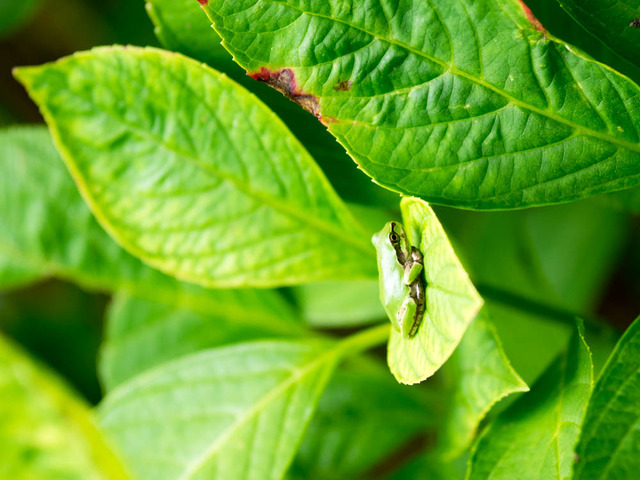 ���ώ��ގ���06