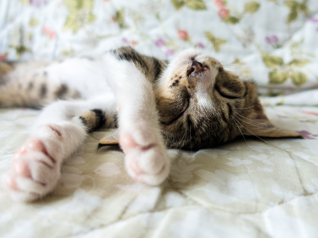 ���ͤ���43