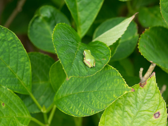 ���ώ��ގ���09