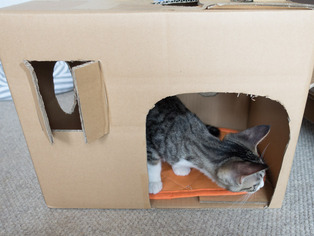 ���ͤ���78