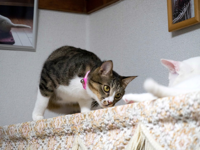 ����������1