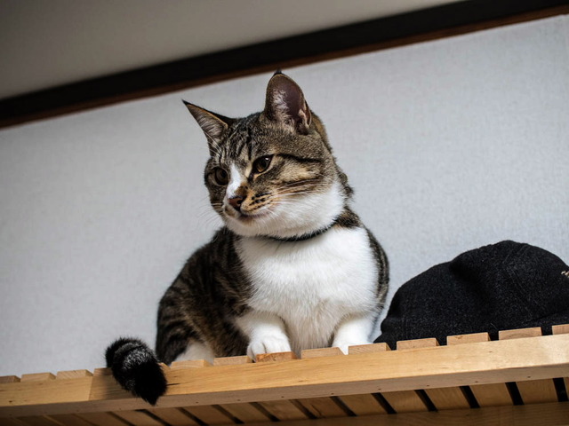 ���ͤ���02