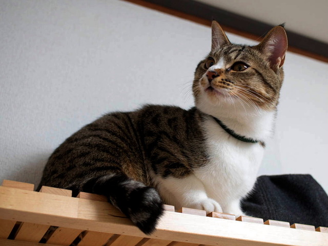 ���ͤ���03