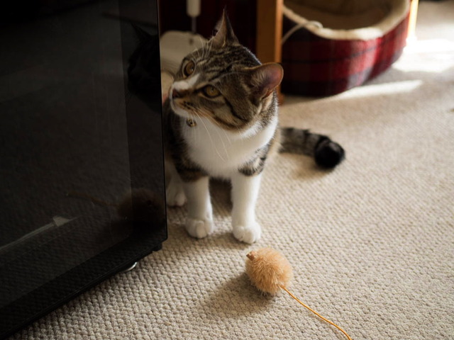 ���ͤ���08