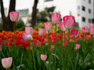 ���͸���22