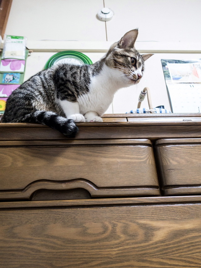 ���ͤ���5