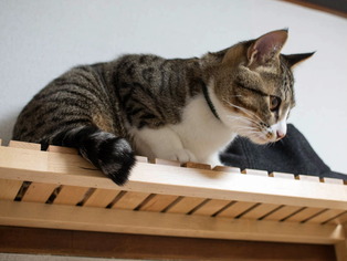 ���ͤ���04