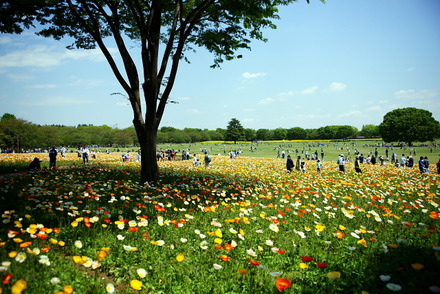 shouwa3