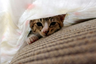 ���ͤ���08