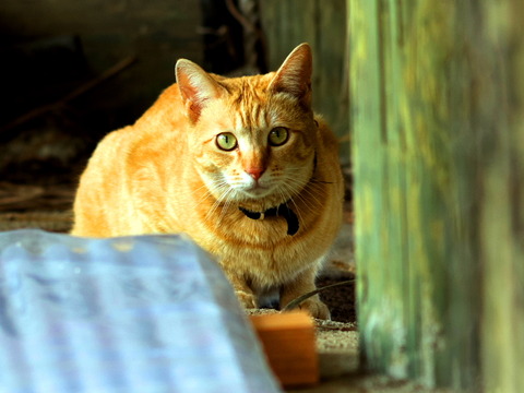 ������20