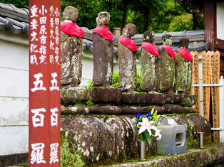 ��ɴ�����11