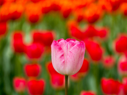 ���͸���7