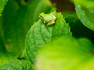 ���ώ��ގ���16