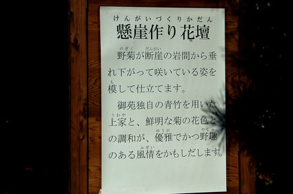 shinju13