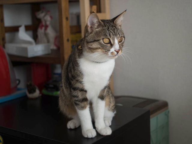 ���ͤ���22