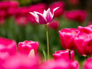 ���͸���5