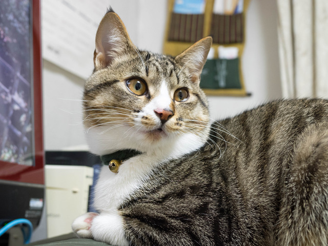 ���ͤ���2