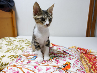 ���ͤ���64