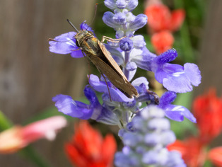 �����؎�����10