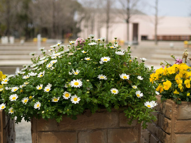 ˭������3