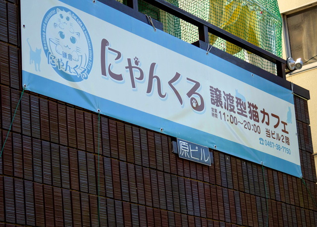 ���Ҿ�Į��3