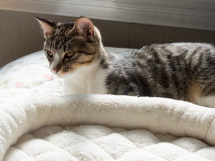 ���ͤ���11