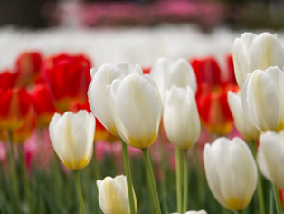 ���͸���4