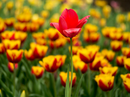 ���͸���6