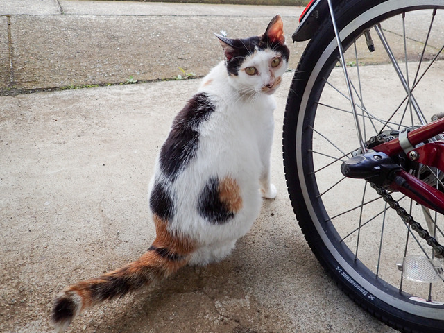 �ߡ������9