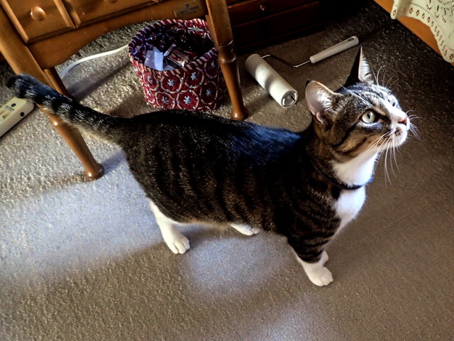 ���ͤ���3