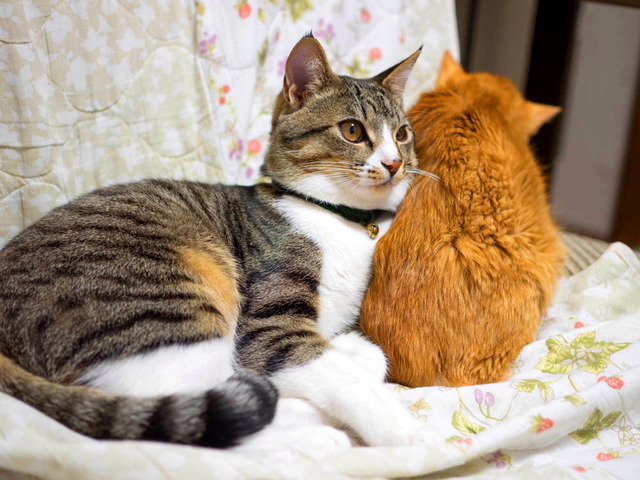 ���ͤ�����04