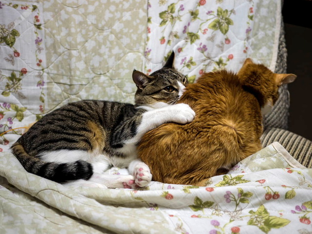 ���ͤ�������ͤ���02