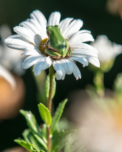 �˥ۥ󥢥ޥ�����