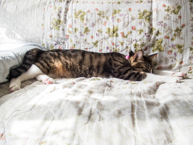 ���ͤ���8