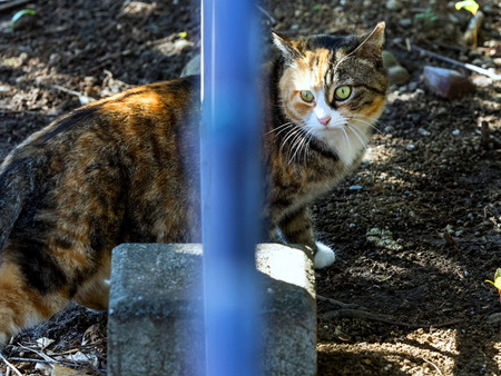 ���򴱤β�21