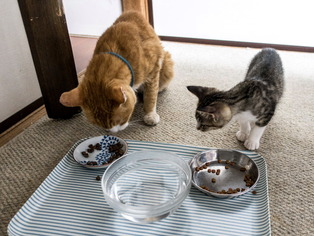 ���ͤ�����01