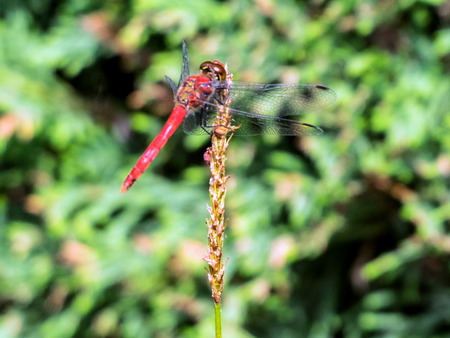 �Ŏ�����2