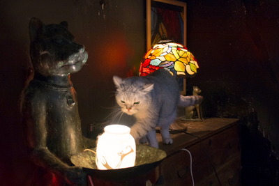 �Ȏ�����10