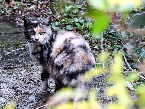 ������17