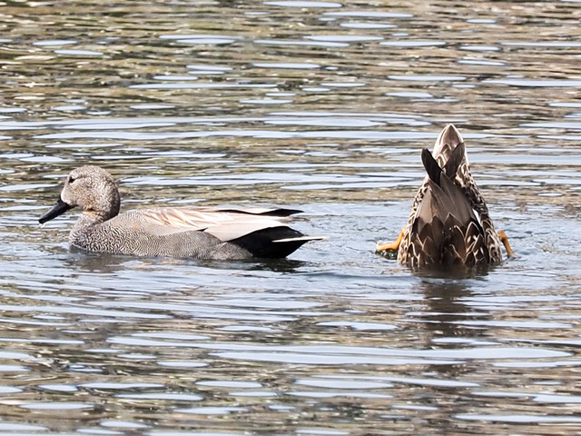 �����֎����ގ�1