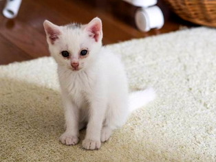 �ЎФ����02