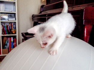 �ߥߤ����3