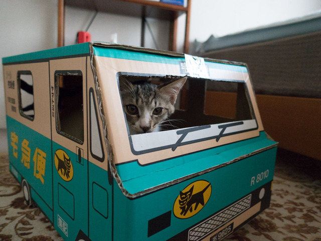 ���ͤ���50